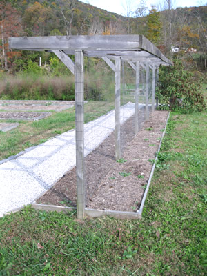 picture of Pea Trellis